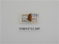 藏品(埔里胖絨毛金龜)的圖片
